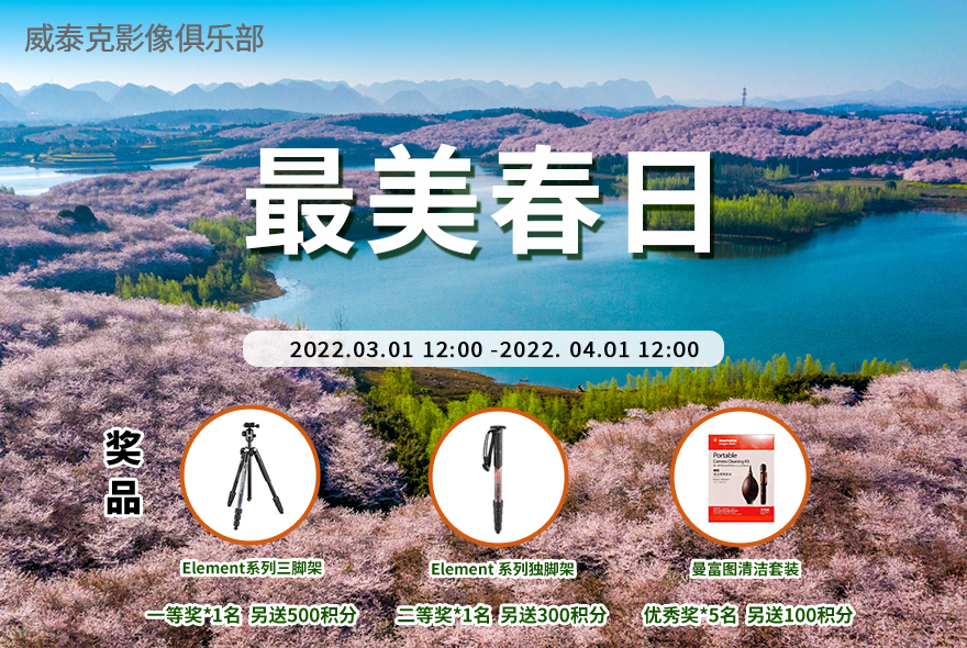 三月摄影大赛“最美春日”
