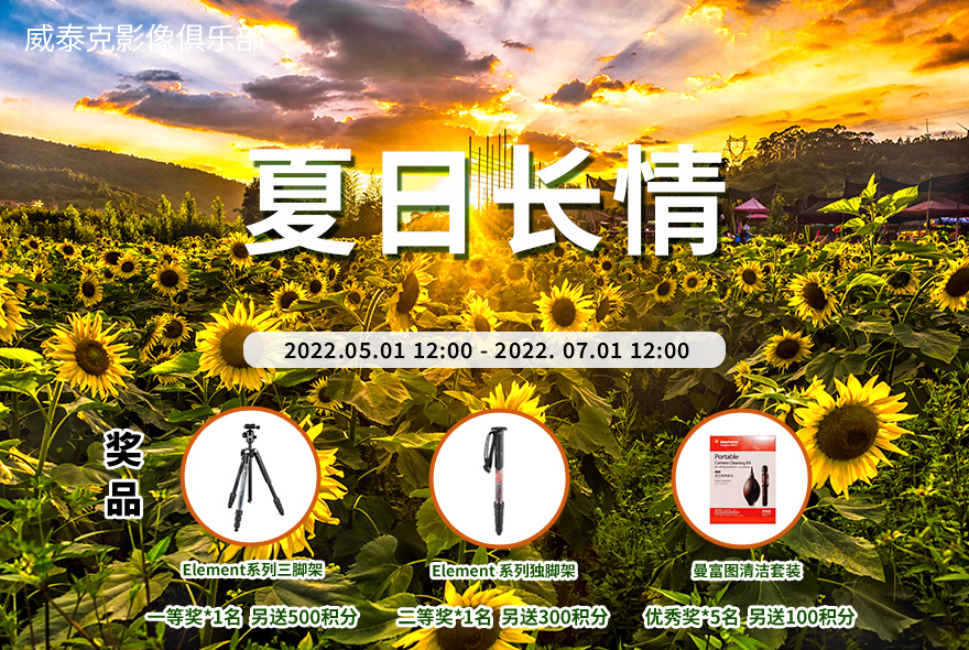 五月摄影大赛“夏日长情”