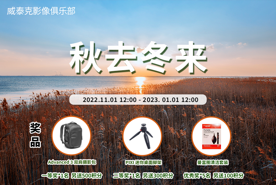 十一、十二月影赛“秋去冬来”