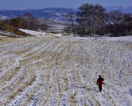 初冬觅雪