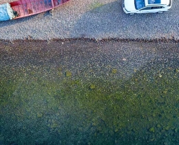 车