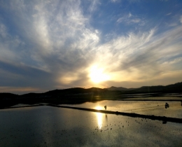 夕阳西下