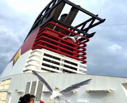亲密接触