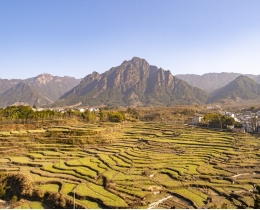 梅干岭