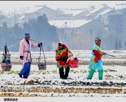踏雪赶庙会