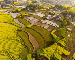 乡村调色板