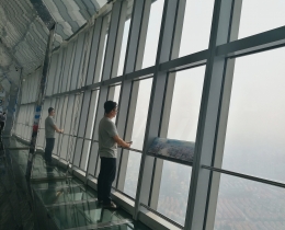 环球金融中心看世界