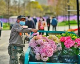 送花使者