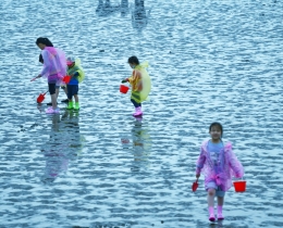赶海
