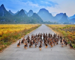 看风景去