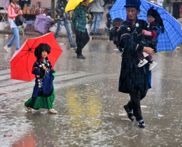 雨中情