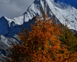 秋韵印雪山