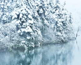 雪的世界