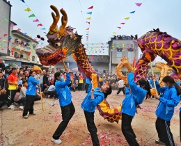 龙舞迎新年