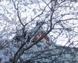 春意