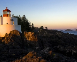 风景