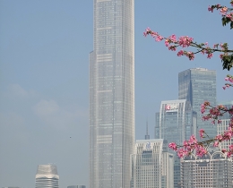 羊城：以入春的节奏进入冬天