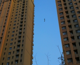 极限运动