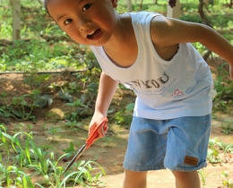 童真