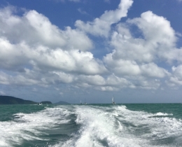 乘风破浪