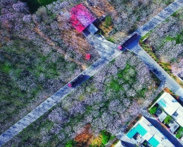 《乡村公路》