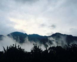 清晨