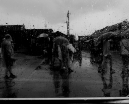 雨日