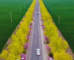 一路繁花