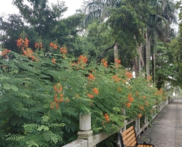 自然一景