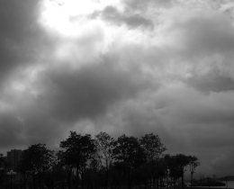 等雨来
