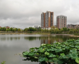 雨后