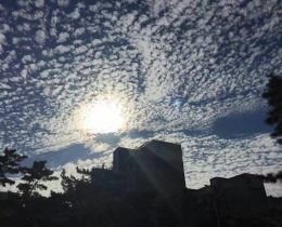 光影之城