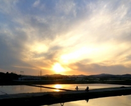夕阳下靓影
