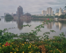 我的城市我的家