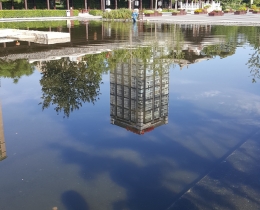 城市之光
