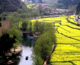 花香漫漾河