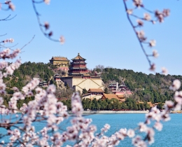 春色满园