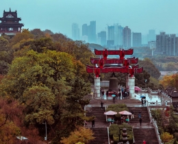 烟雨黄鹤楼