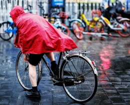 雨中景