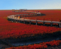 秋之红海滩