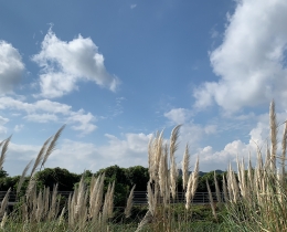 东钱湖