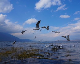 海舌公园