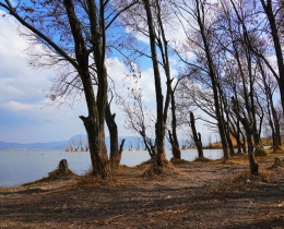 海舌公园