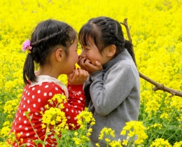 悄悄话