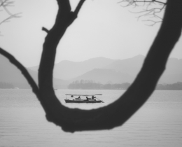 漫雨西湖