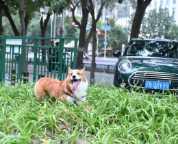 你好呀