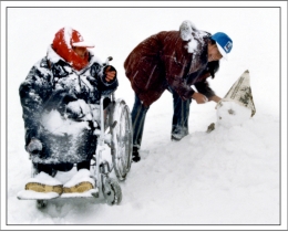 雪中趣