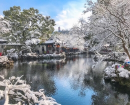 雪中景