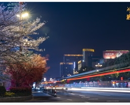 湖城夜景