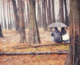 “雨”你的时光